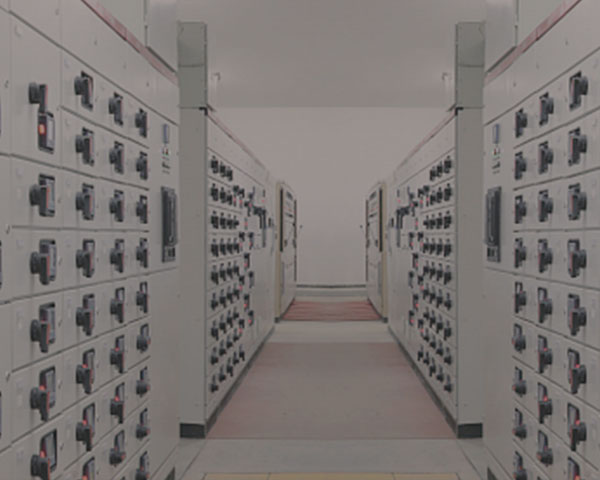 ����(��)�����������