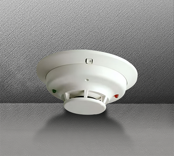 ���̡�����̽����